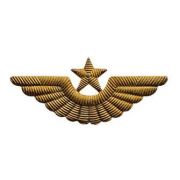 Эмблема на тулью ВВС