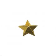 Звезда мет. 13 мм. золот.