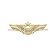 Эмблема на тулью ВВС нового образца